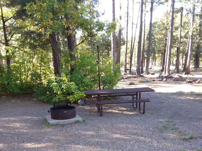 Rim Campground photo 4