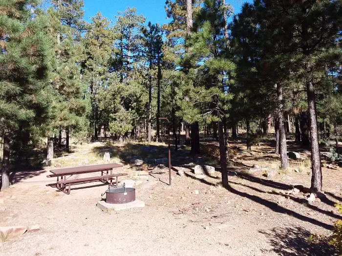 Rim Campground photo 5