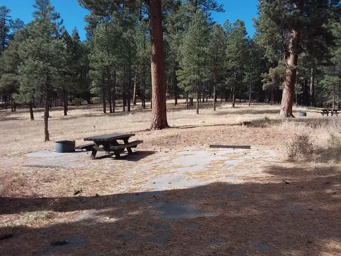 RIO DE LAS VACAS CAMPGROUND photo 4