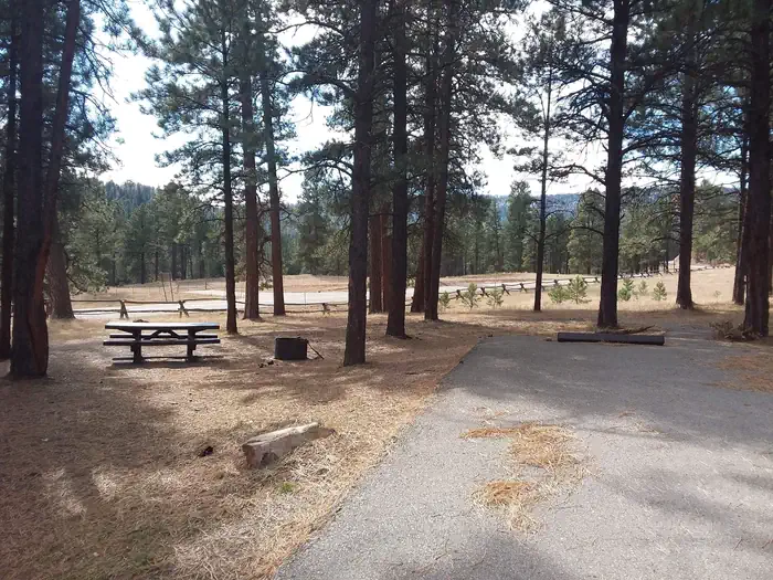 RIO DE LAS VACAS CAMPGROUND photo 5