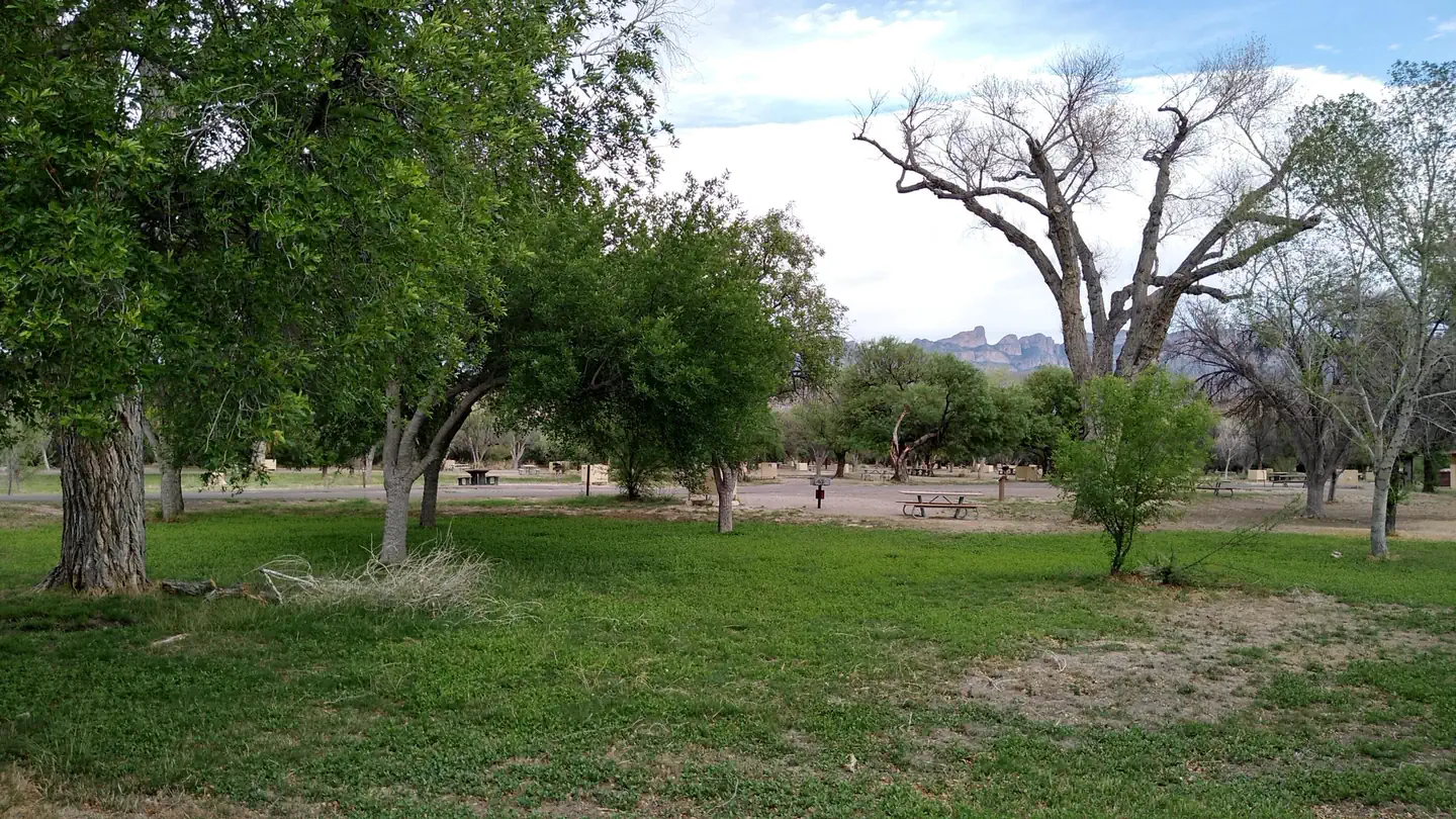 Rio Grande Village Group Campground (Big Bend, TX) photo