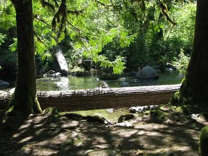 RIPPLEBROOK photo 2