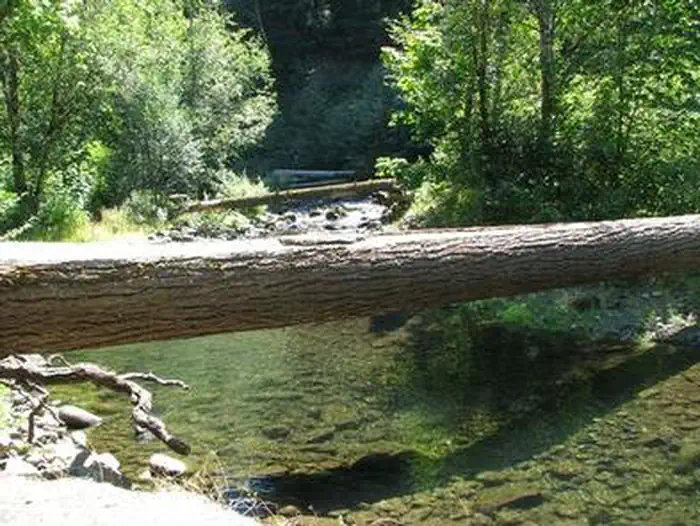 RIPPLEBROOK photo 3