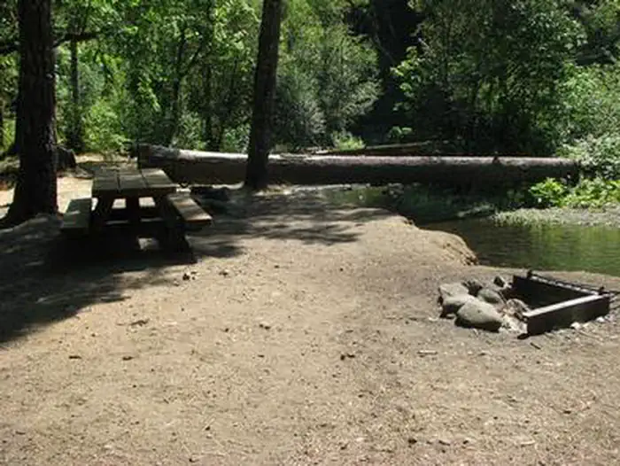 RIPPLEBROOK photo 5