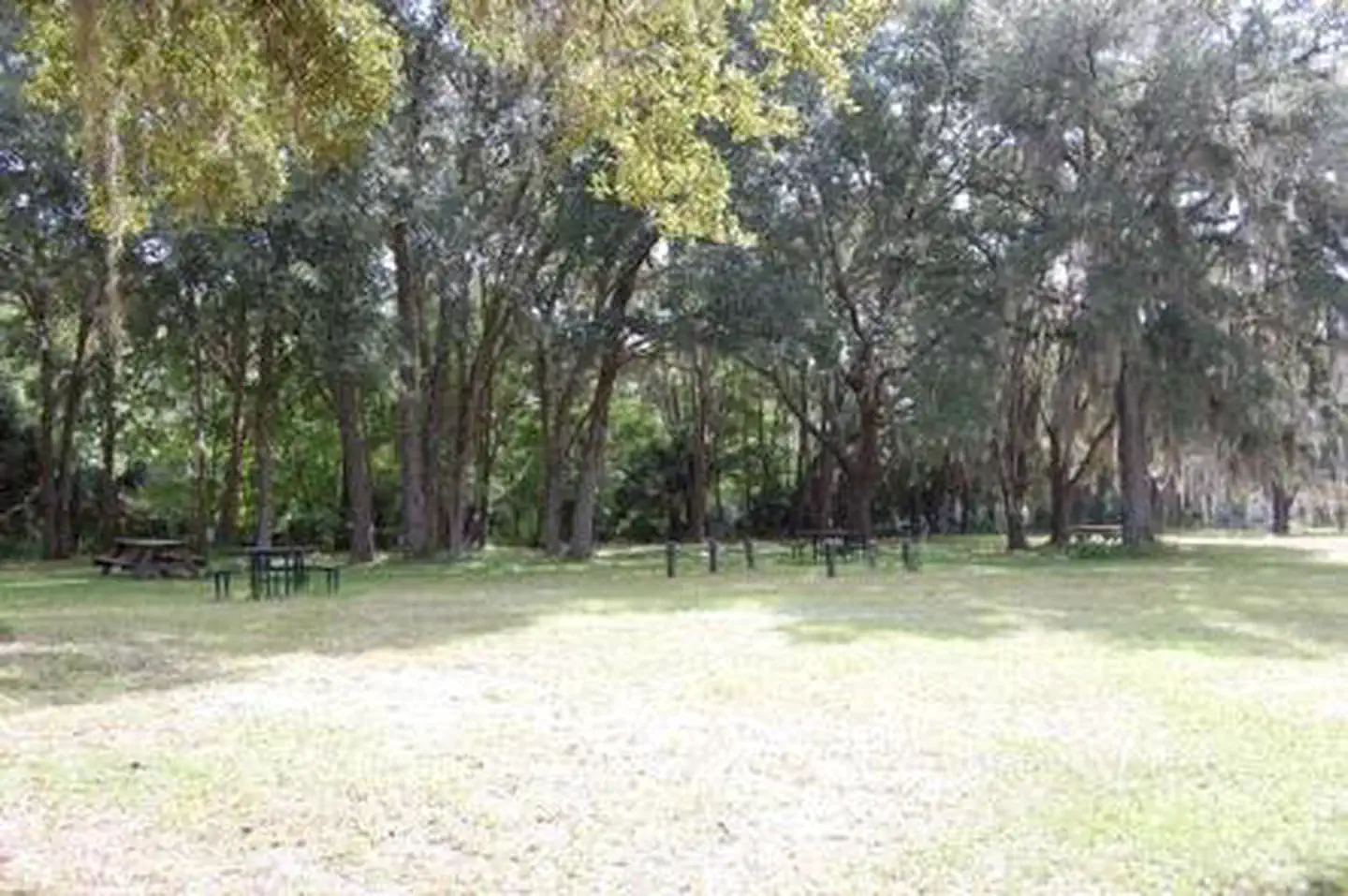 RIVER FOREST GROUP SITE photo 2