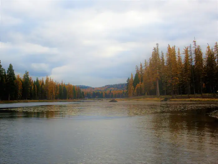 River Point Lolo Campground (MT) photo 2