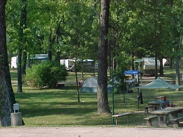 RIVER ROAD PARK photo 3