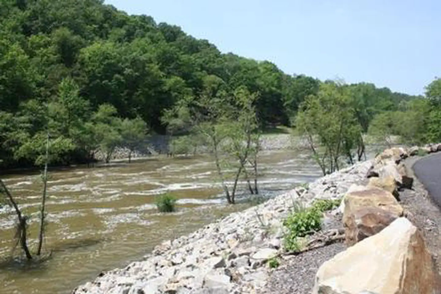 RIVER ROAD photo 3