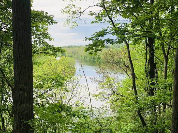 Rivers Bend Group Campground photo 3