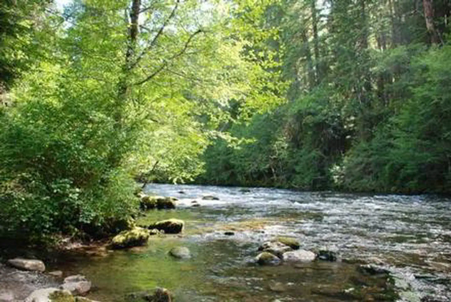 RIVERSIDE AT DETROIT (Willamette National Forest, OR) photo