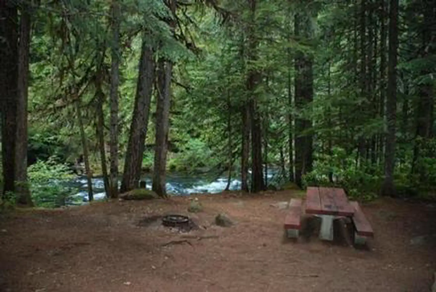 RIVERSIDE AT DETROIT (Willamette National Forest, OR) photo 4