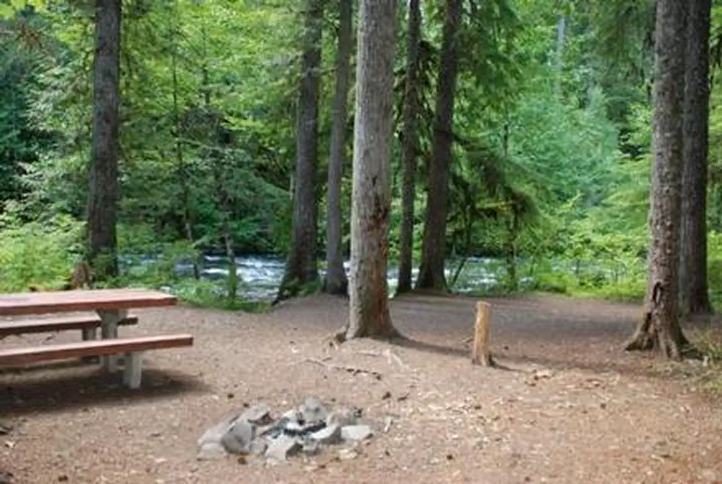RIVERSIDE AT DETROIT (Willamette National Forest, OR) photo 5