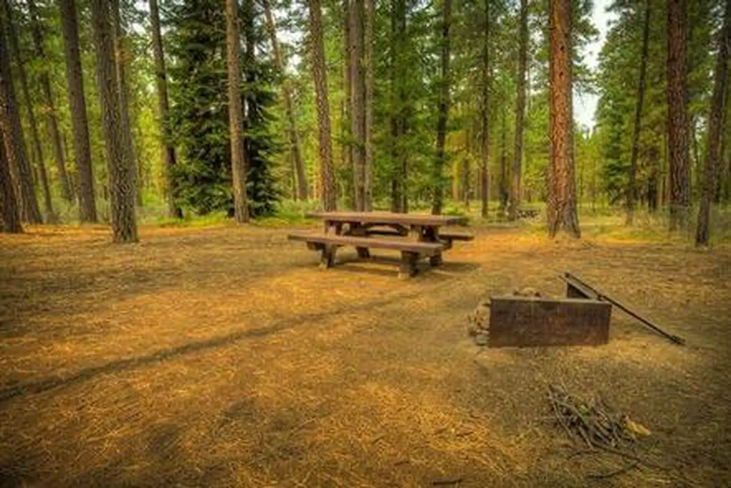 Riverside Campground (Deschutes National Forest, OR) photo