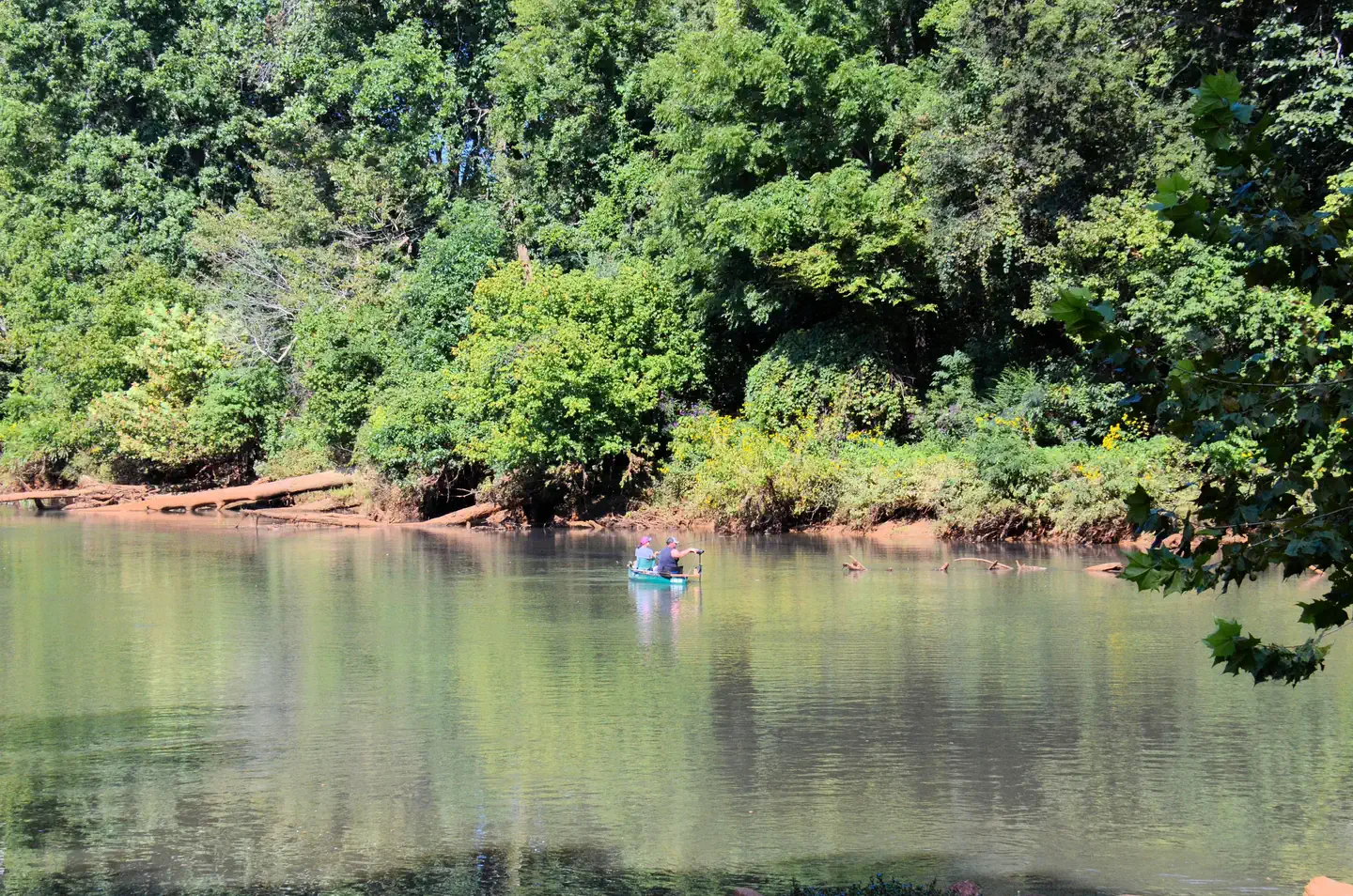 RIVERSIDE PARK DAY USE AREA (GA) photo 2
