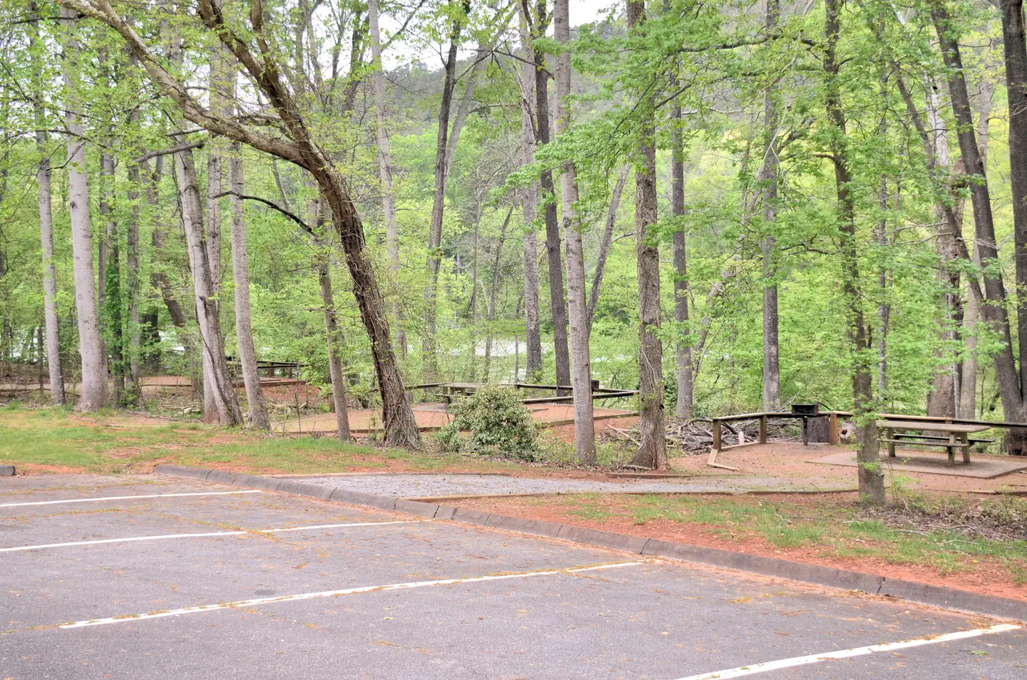 RIVERSIDE PARK DAY USE AREA (GA) photo 4