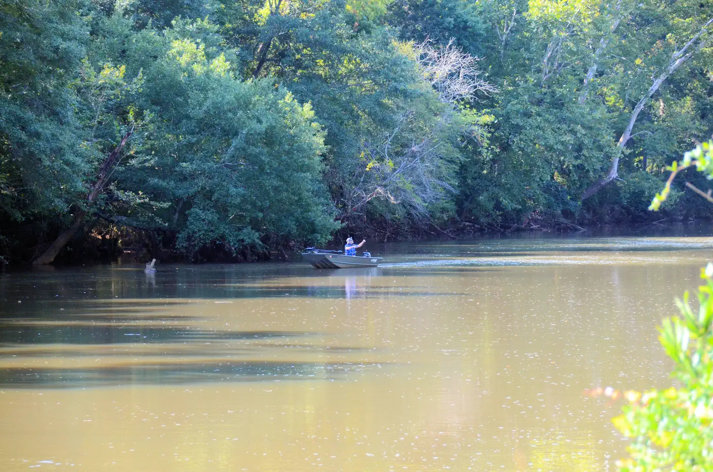 RIVERSIDE PARK DAY USE AREA (GA) photo 5