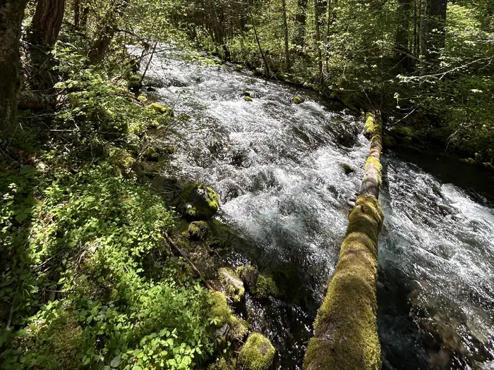 ROARING RIVER (GROUP) photo 4