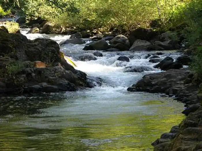 ROARING RIVER photo
