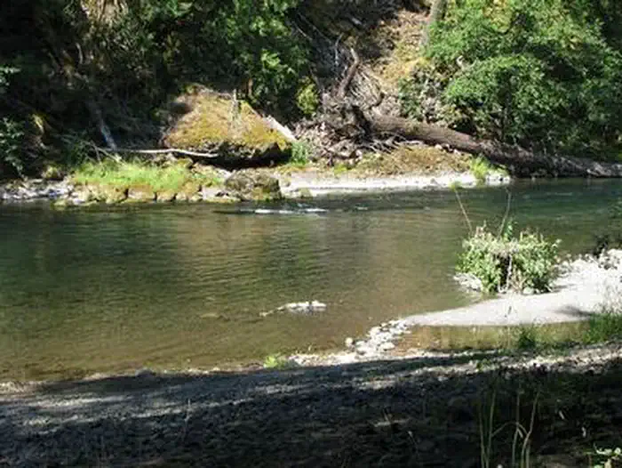 ROARING RIVER photo 2