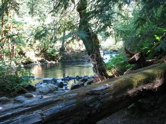 ROARING RIVER photo 5