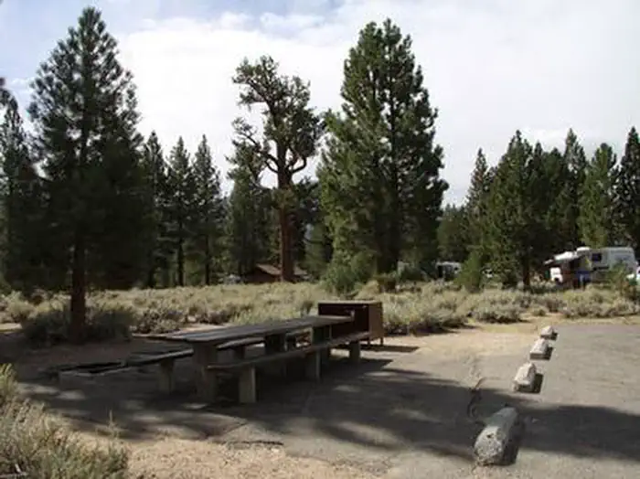ROBINSON CREEK NORTH photo 5