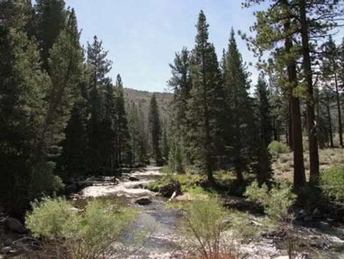 ROBINSON CREEK SOUTH photo