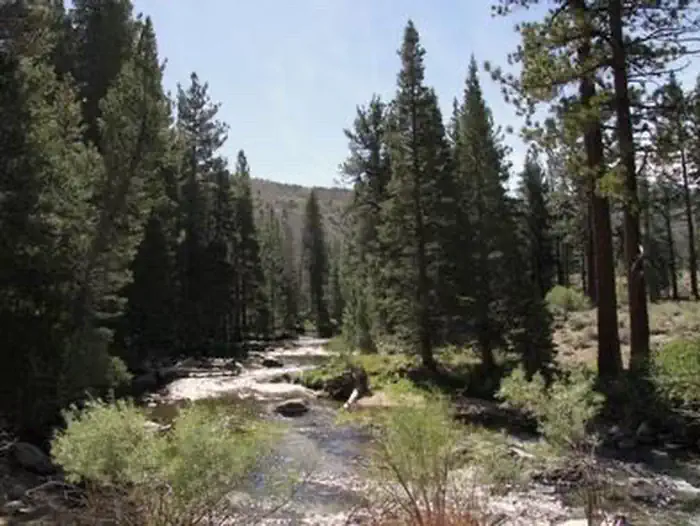 ROBINSON CREEK SOUTH photo 2