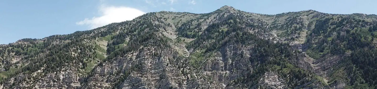 ROCK CANYON photo