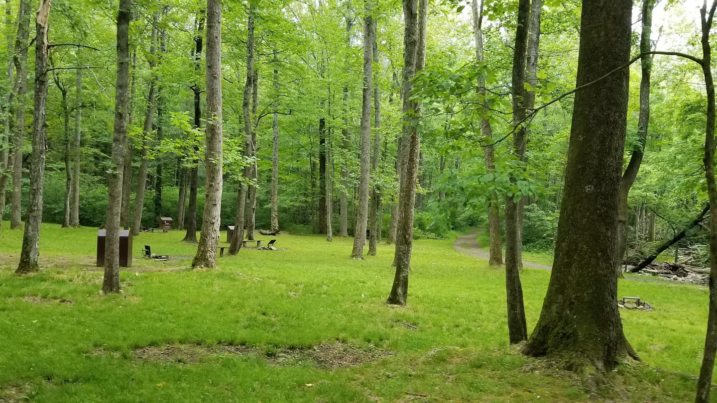 Rock Castle Gorge Backcountry Camping photo