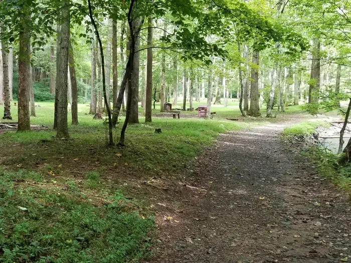 Rock Castle Gorge Backcountry Camping photo 2