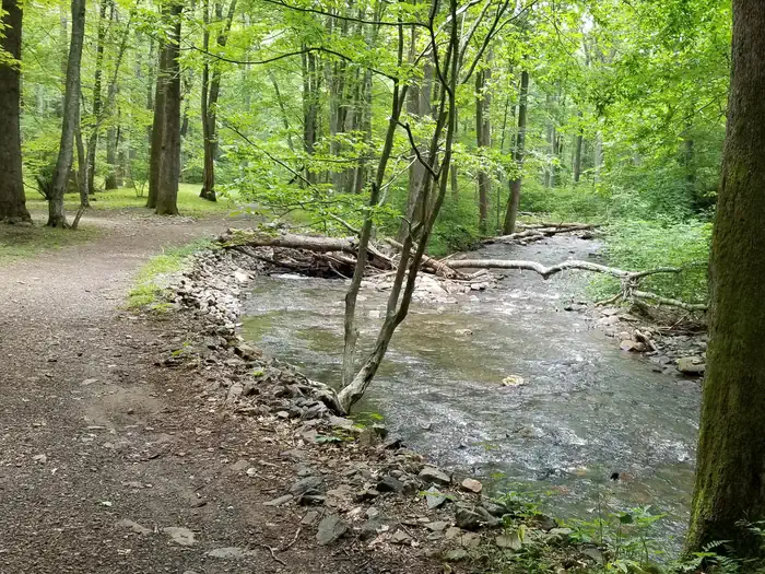 Rock Castle Gorge Backcountry Camping photo 5