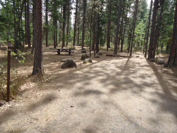 Rock Creek Campground (Mt. Hood National Forest, OR) photo 3