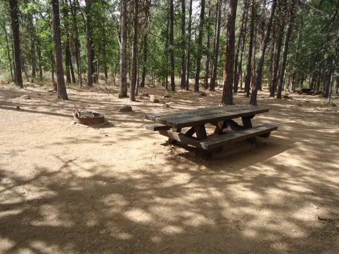 Rock Creek Campground (Mt. Hood National Forest, OR) photo 4