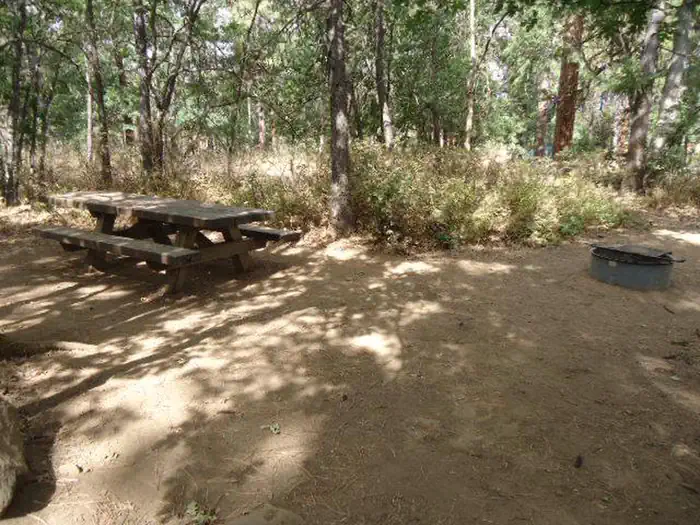 Rock Creek Campground (Mt. Hood National Forest, OR) photo 5
