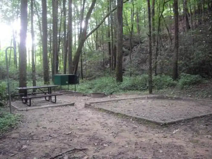 Rock Creek Campground (TN) photo 2