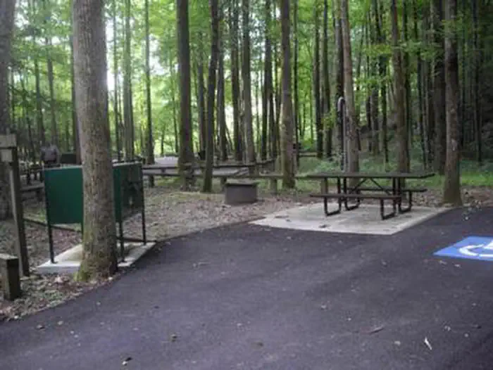 Rock Creek Campground (TN) photo 3