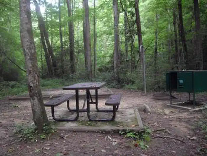 Rock Creek Campground (TN) photo 4