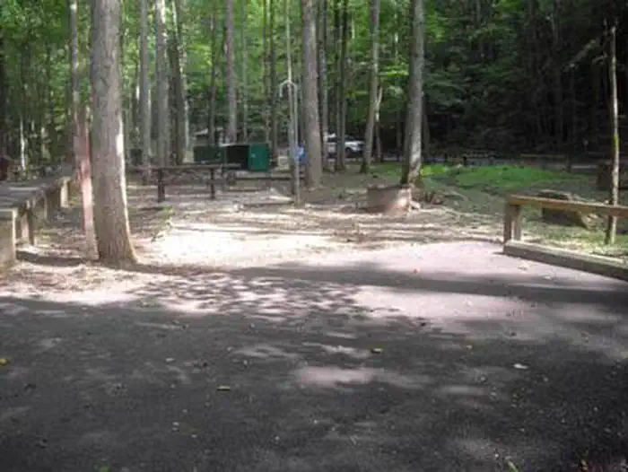 Rock Creek Campground (TN) photo 5
