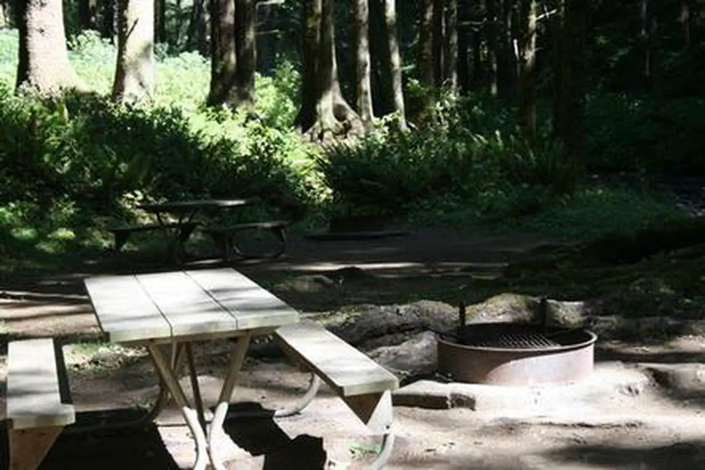 Rock Creek Oregon Coast (Siuslaw National Forest, OR) photo 2