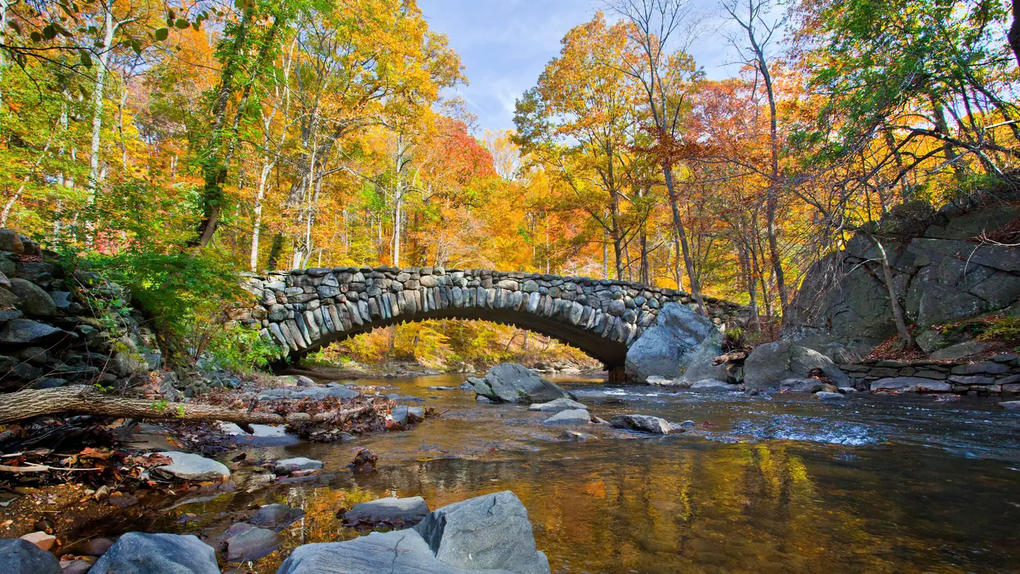Rock Creek Park Group Picnic Areas (DC) photo