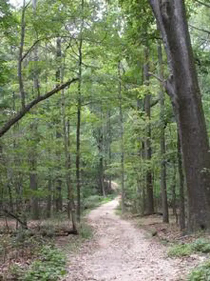 Rock Creek Park Group Picnic Areas (DC) photo 2