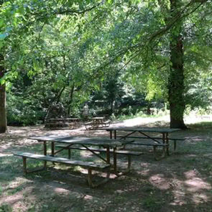 Rock Creek Park Group Picnic Areas (DC) photo 5