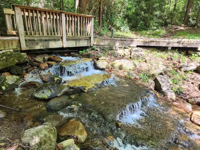 Rock Creek Recreation Area (Cherokee National Forest, TN) photo 3