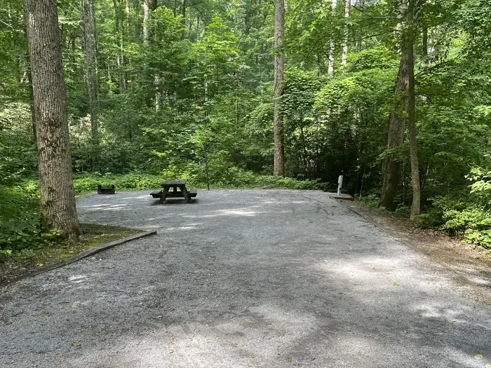 Rock Creek Recreation Area (Cherokee National Forest, TN) photo 4