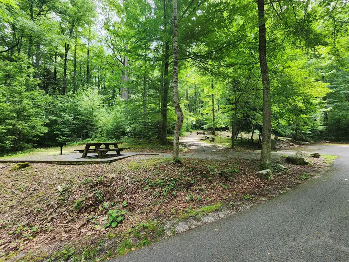 Rock Creek Recreation Area (Cherokee National Forest, TN) photo 5
