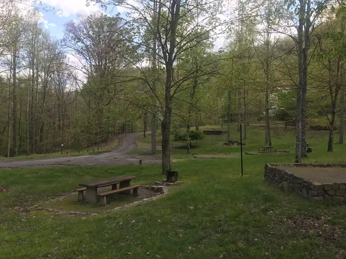 Rocky Bluff Campground photo 2