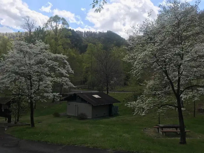 Rocky Bluff Campground photo 4