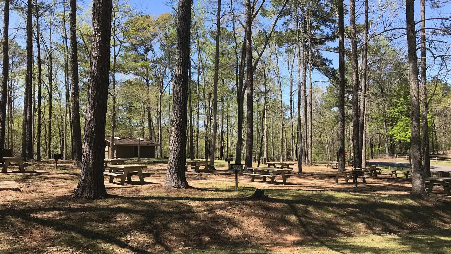 Rocky Branch Day Use Park photo