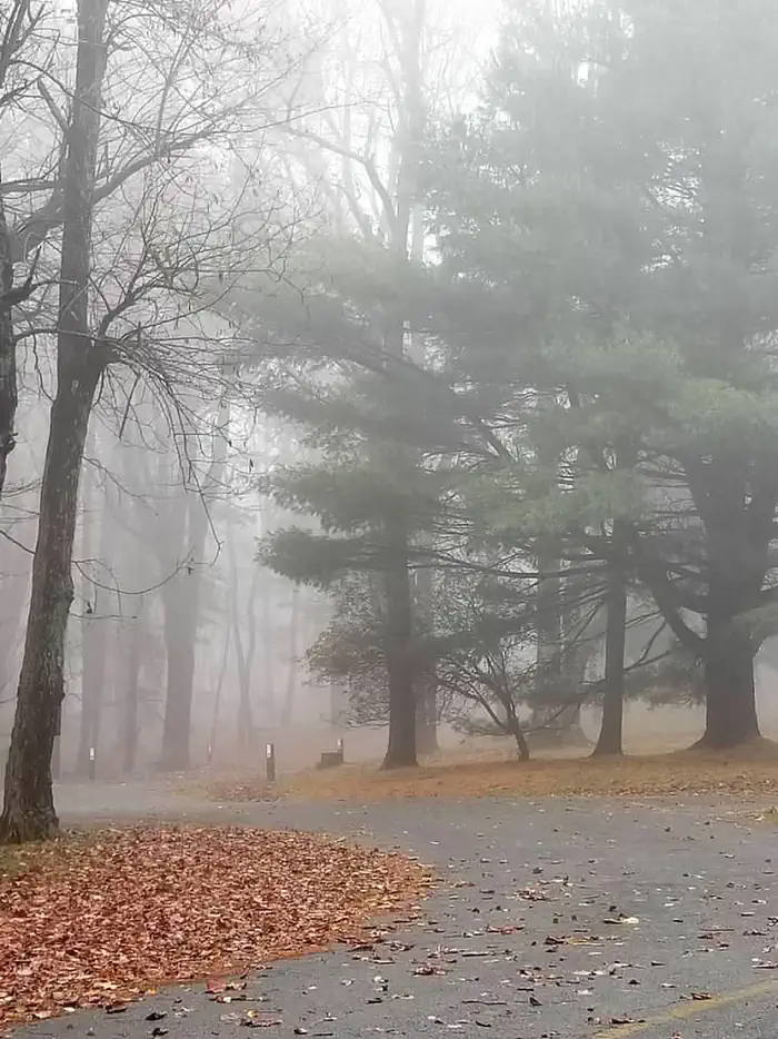 Rocky Knob Campground photo 2