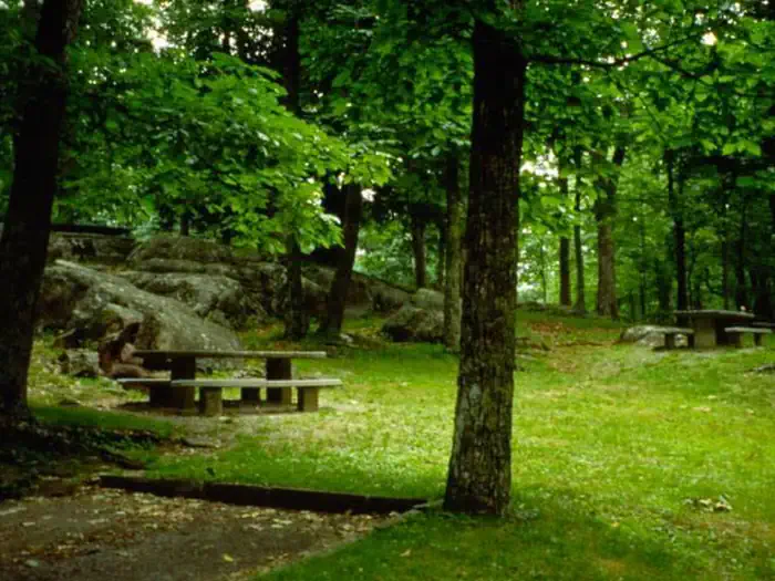 Rocky Knob Campground photo 3